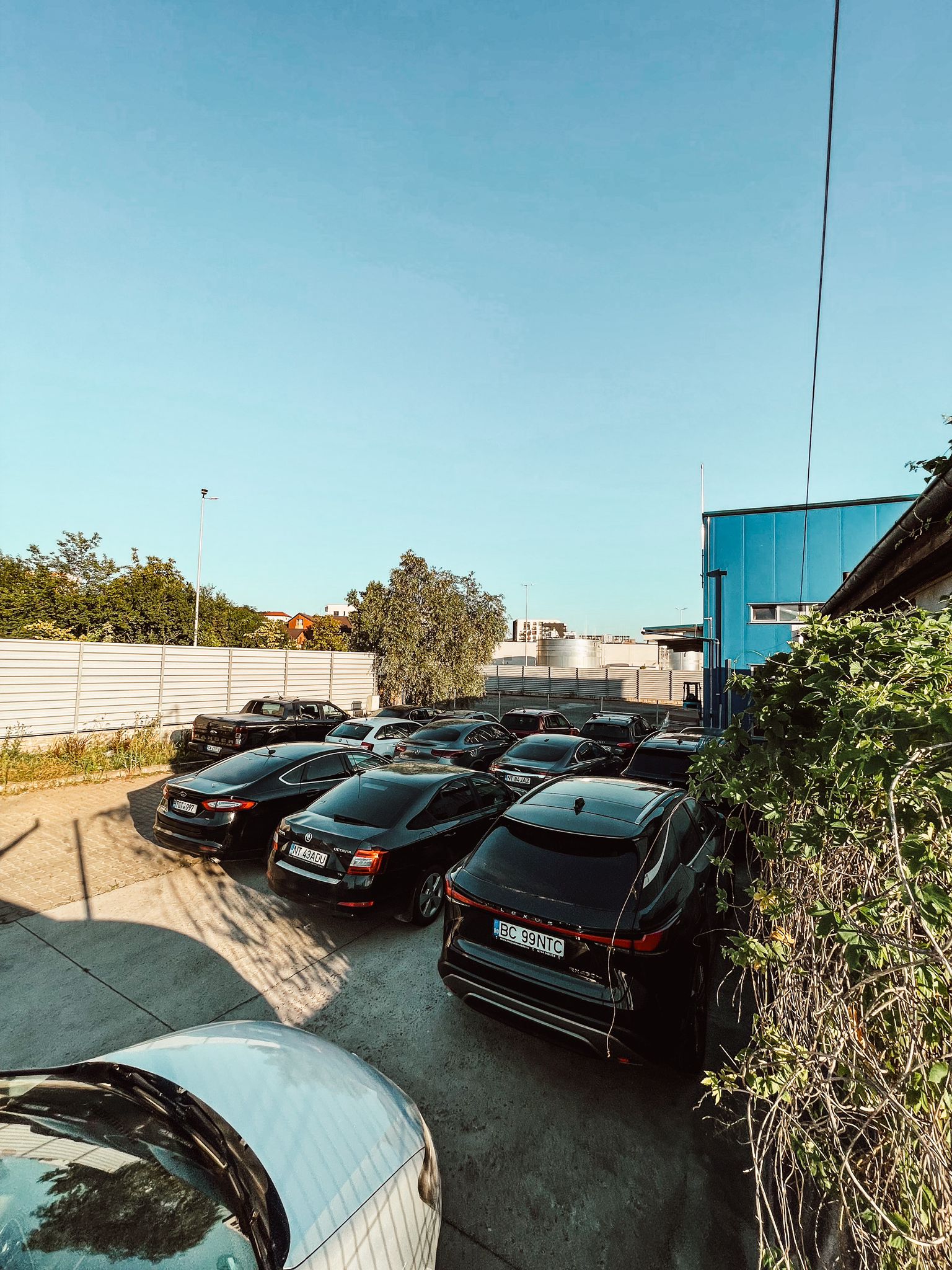 image_new_1